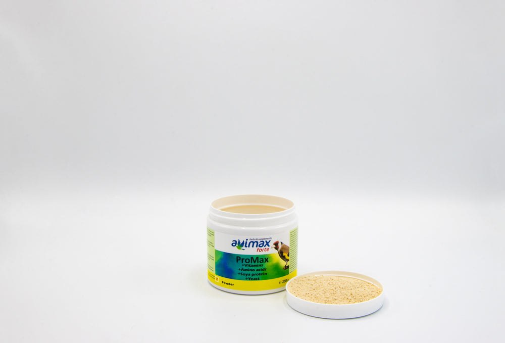 PROMAX-BACTO AVIMAX FORTE cure & therapy