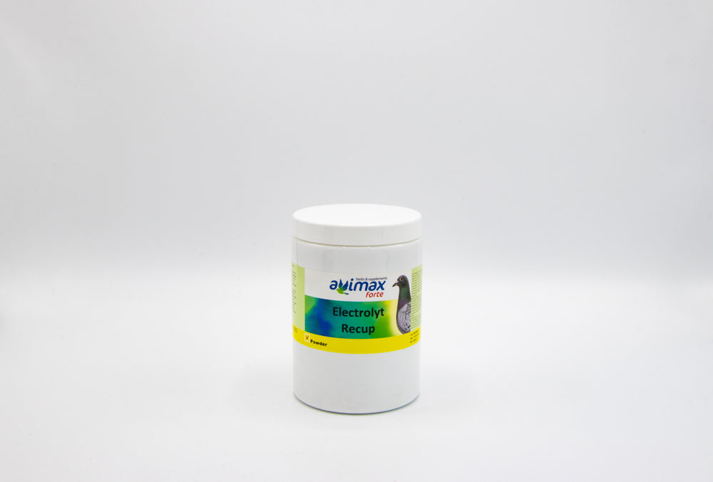 POLVERE ELETTROLYTICA PICCIONI VIAGGIATORI AVIMAX FORTE 250GR