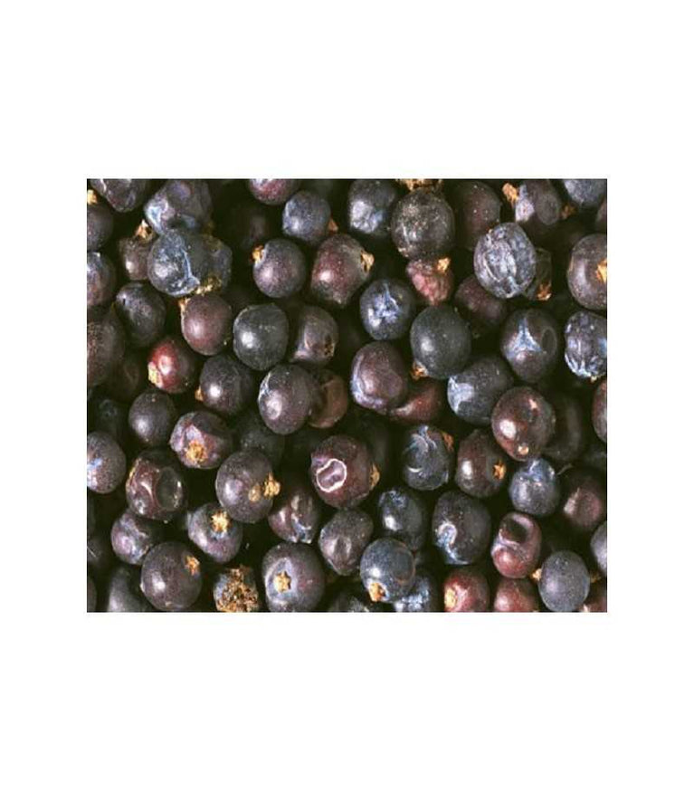 Le bacche di ginepro contengono tannini, diterpeni, pro-antociandine, flavonoidi, resine e antociani, con effetti anti-invecchiamento e antiossidanti. Possono essere mescolate ai semi per pappagalli, aggiunte a frutta/verdura. Ottime durante il canto e la muta degli uccelli.