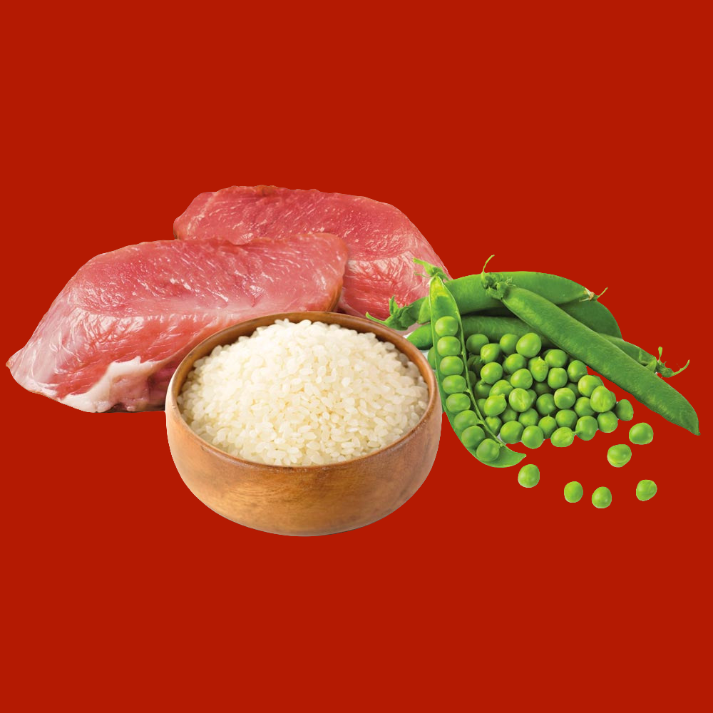 SALMONE RISO E PISELLI UNICO MAXI Unica Natura puppy-adult-senior