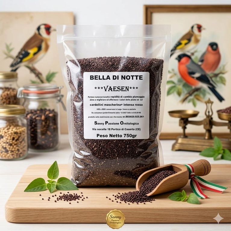 Semi Bella di Notte VAESEN Belgio - Sanny Passione Ornitologica