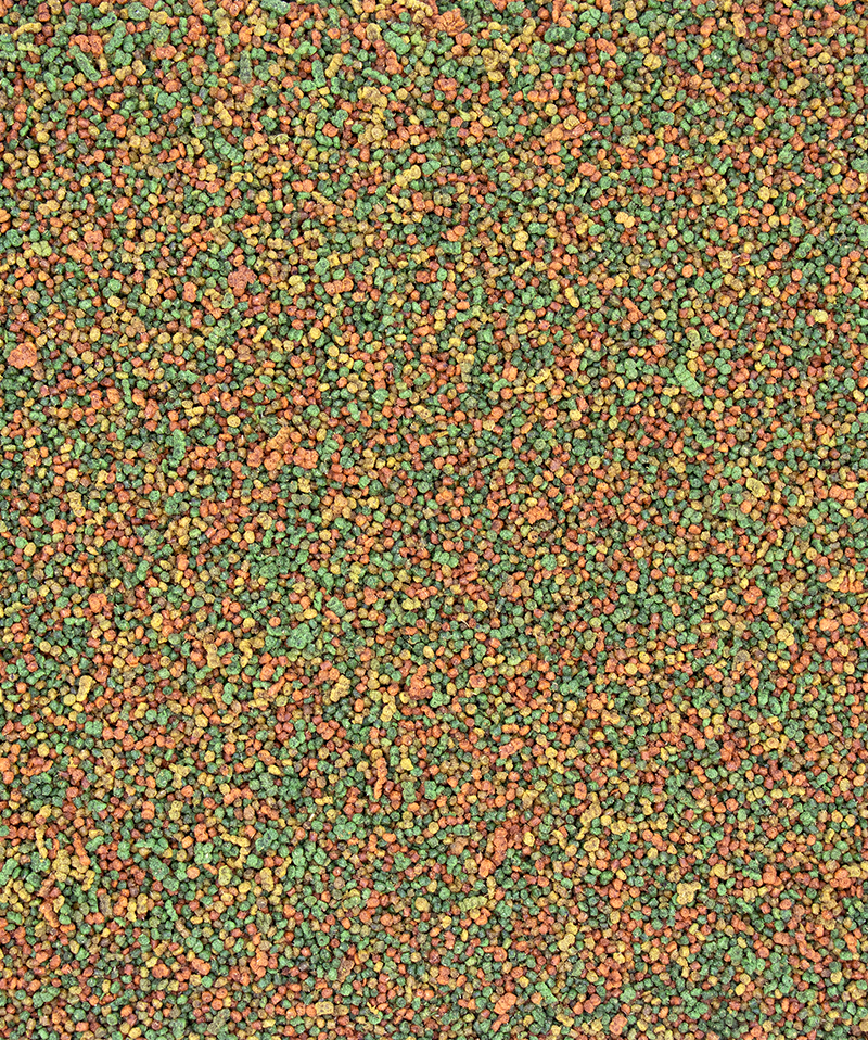 NUTRIBIRD C19 Allevamento Canarini, Esotici e Spinus