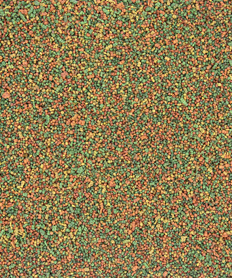 NUTRIBIRD C19 Allevamento Canarini, Esotici e Spinus