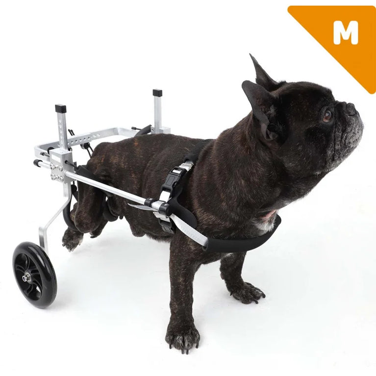 Carrello per cane disabile zampe posteriori Orthopedic