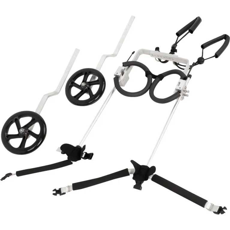 Carrello per cane disabile zampe posteriori Orthopedic