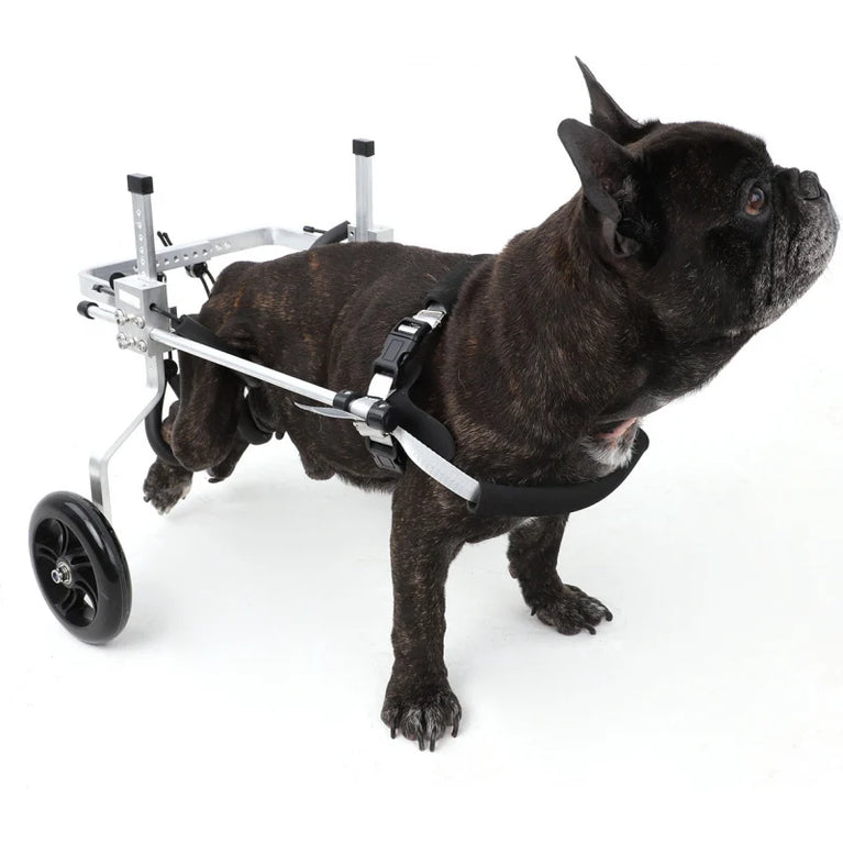 Carrello per cane disabile zampe posteriori Orthopedic