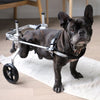Carrello per cane disabile zampe posteriori Orthopedic