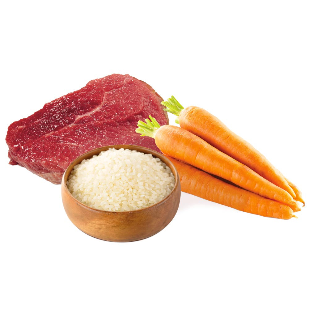 Cervo, Riso e Carote - UNICO MINI Unica Natura