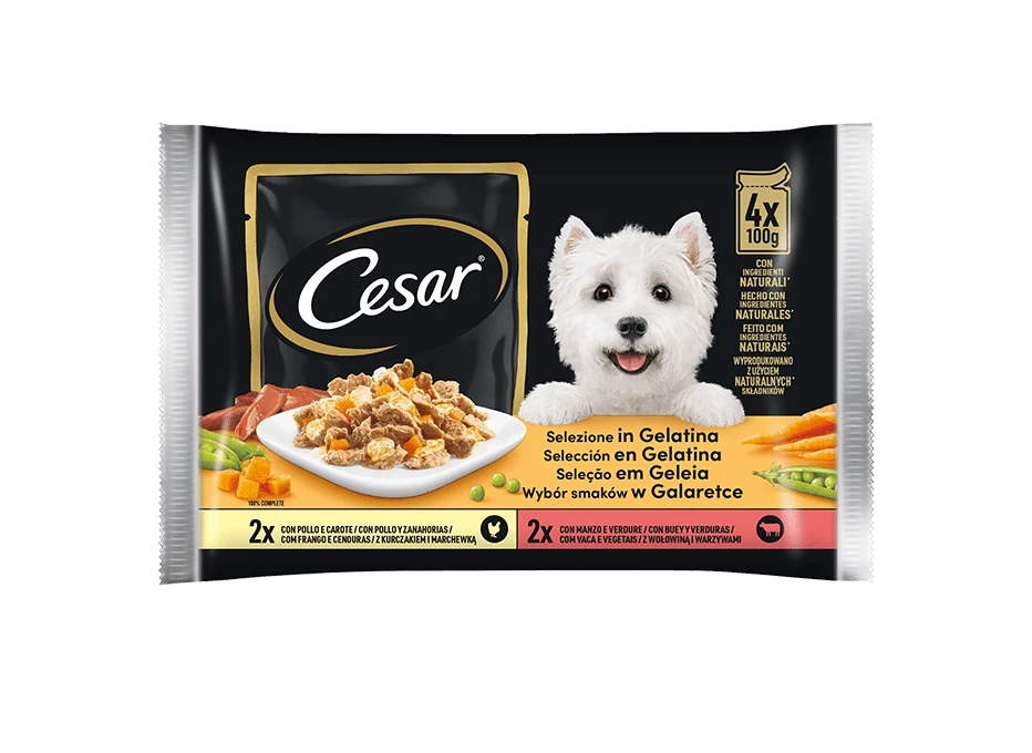 CESAR BUSTINE IN GELATINA- x2 MANZO E VERDURE; x2 POLLO E CAROTE - Sanny Passione Ornitologica