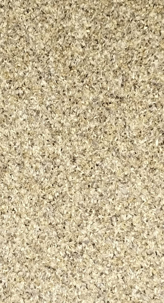 SEMI DI CICORIA CHIARA VAESEN se