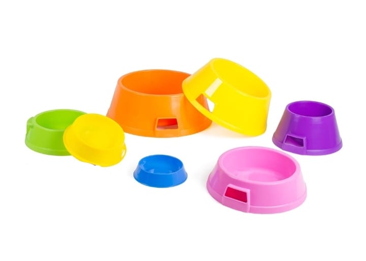 CIOTOLA CANI E GATTI FARM COMPANY