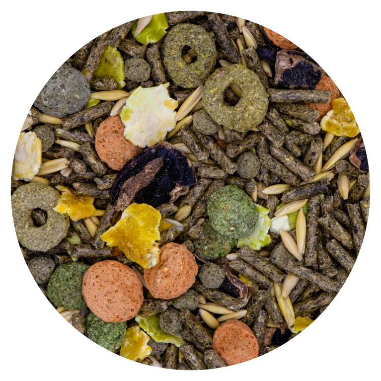 MUESLI CLASSICO CONIGLI NANI VAESEN 502