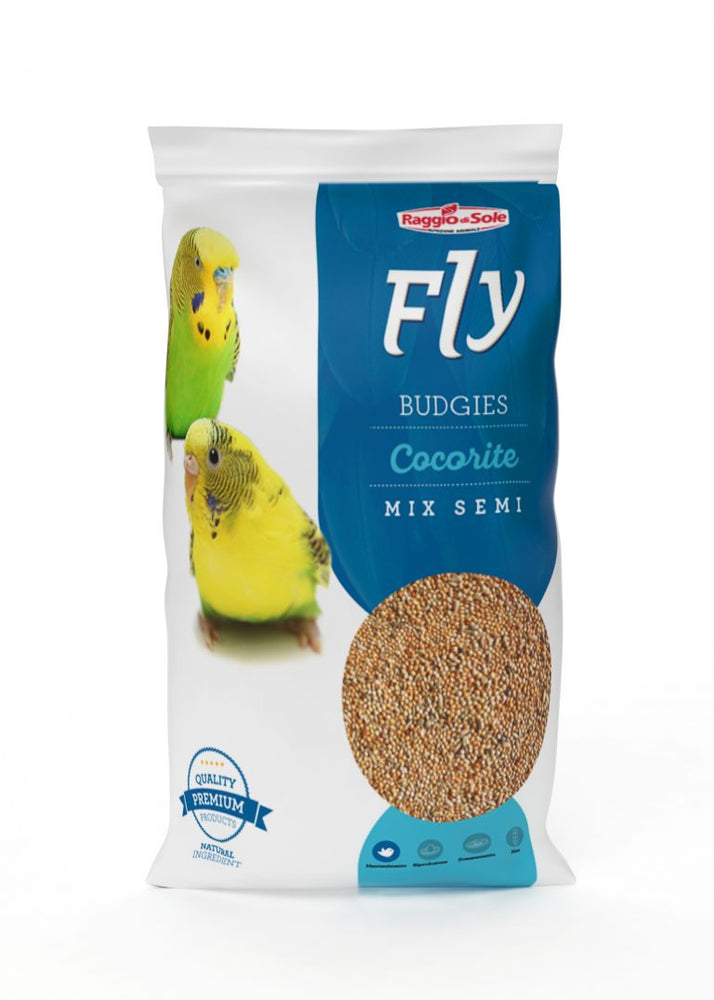 BUDGIES Cocorite Fly Hobby Raggio di Sole