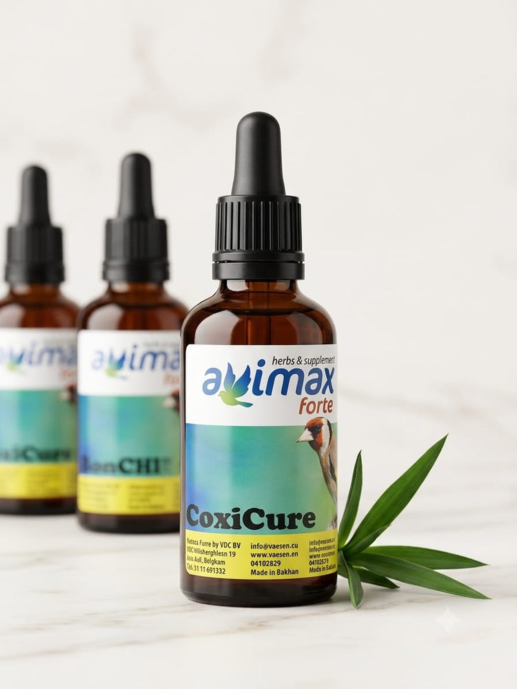 AviMax Forte CoxiCure – Trattamento Coccidiosi per Uccelli 50ml - Sanny Passione Ornitologica