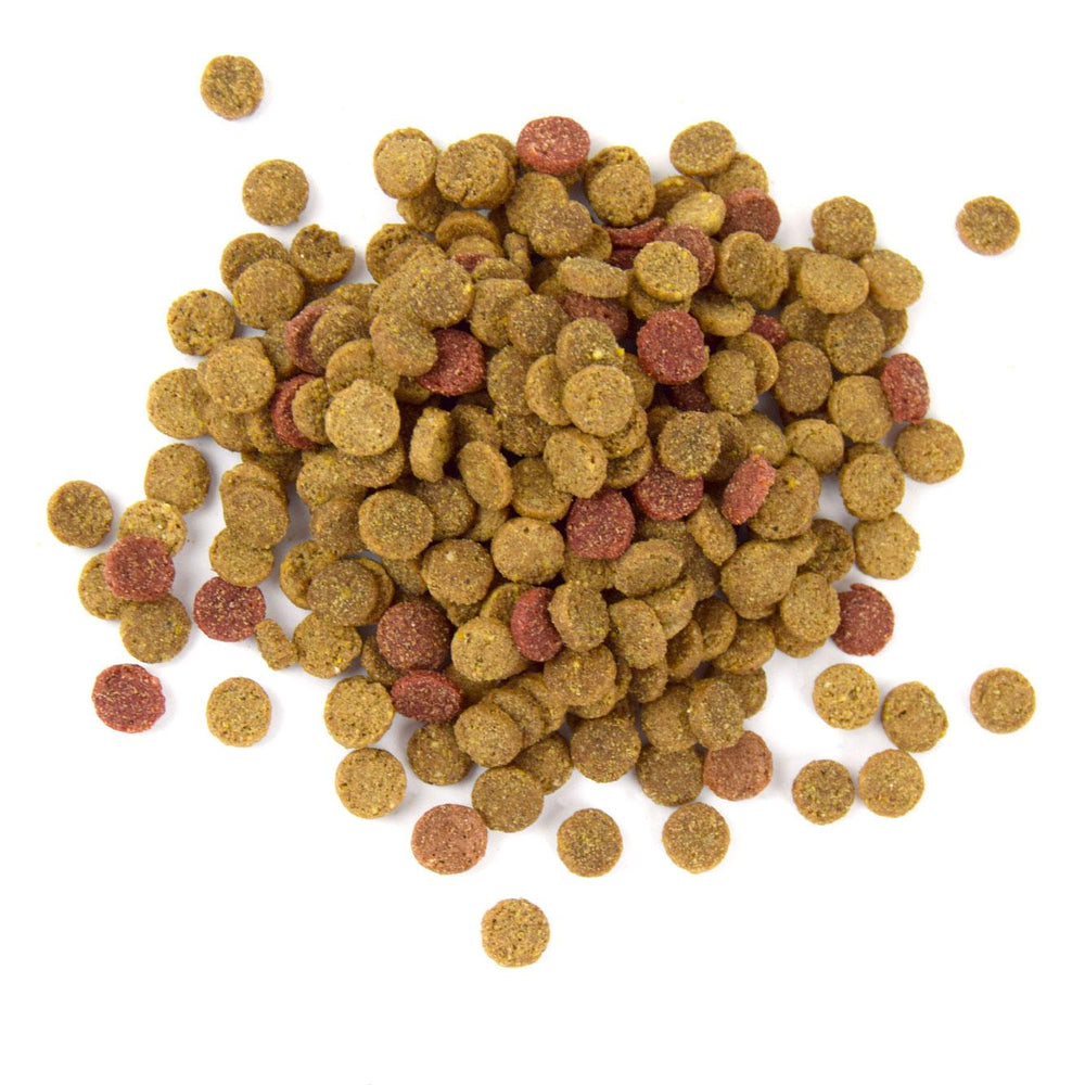 CROCCHETTE GATTO ADULTO ALIMENTO COMPLETO FREDDY 28/10 - Sanny Passione Ornitologica