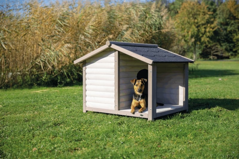Cuccia per cani con terrazza Lodge Natura Colore moderno Grigio