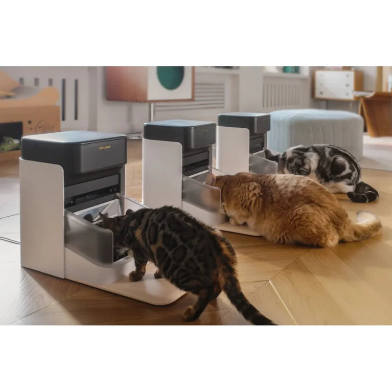 Distributore Automatico Crocchette 3L fino a 10 pasti al giorno con wifi integrato