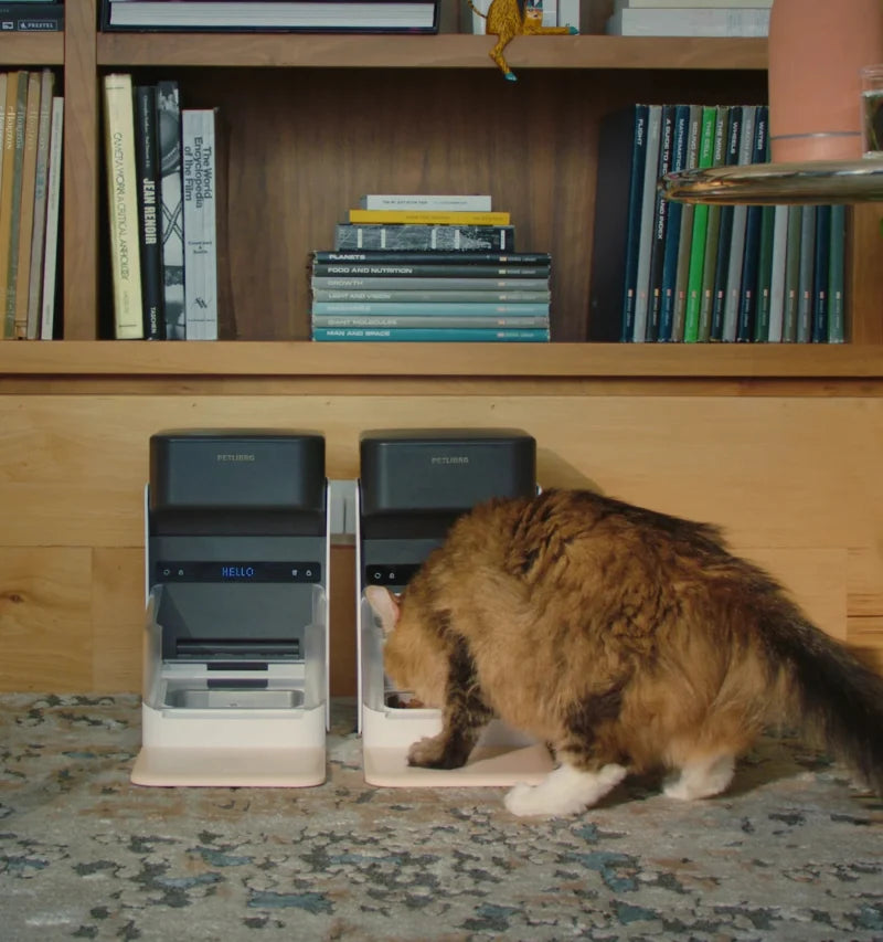 Distributore Automatico Crocchette 3L fino a 10 pasti al giorno con wifi integrato