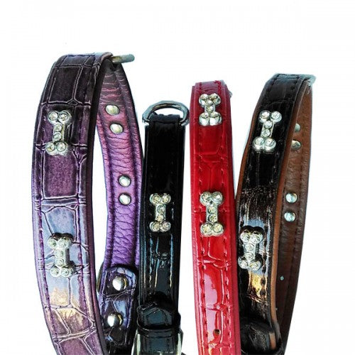 Collare per Cani con Ossicini Brillantinati – 5 Colori (37x1,5cm) - Sanny Passione Ornitologica