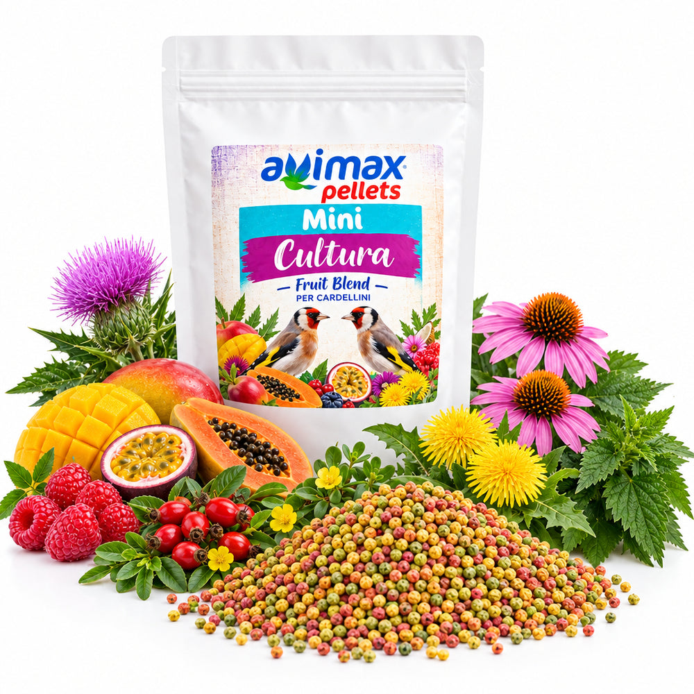 AviMax Estrusi Mini Cultura FruitBlend per Cardellini e Indigeni - Sanny Passione Ornitologica