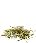 Fieno Timothy Puro Versele-Laga – Verde Brillante per Conigli e Roditori - Sanny Passione Ornitologica