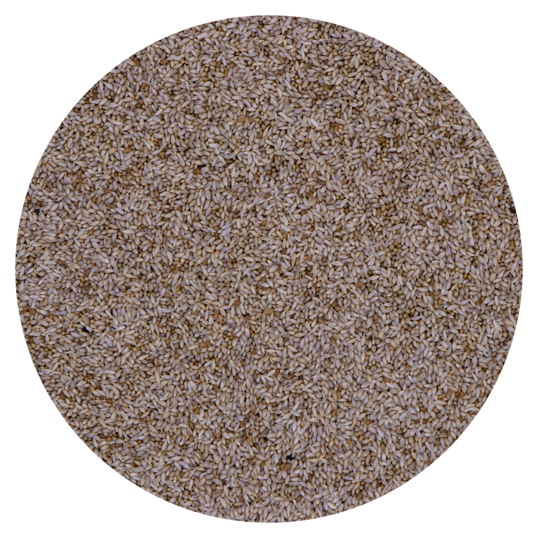 SEMI DI FONIO PADDY ANTICOCCIDIO NATURALE VAESEN