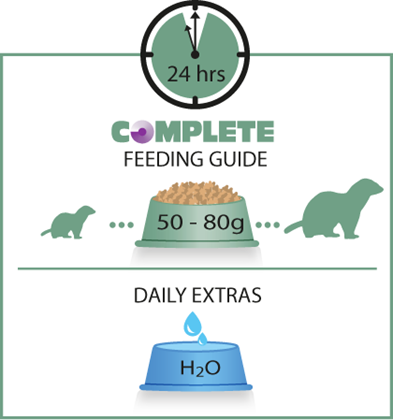 Versele-Laga Complete Ferret – Mangime Estruso per Furetti