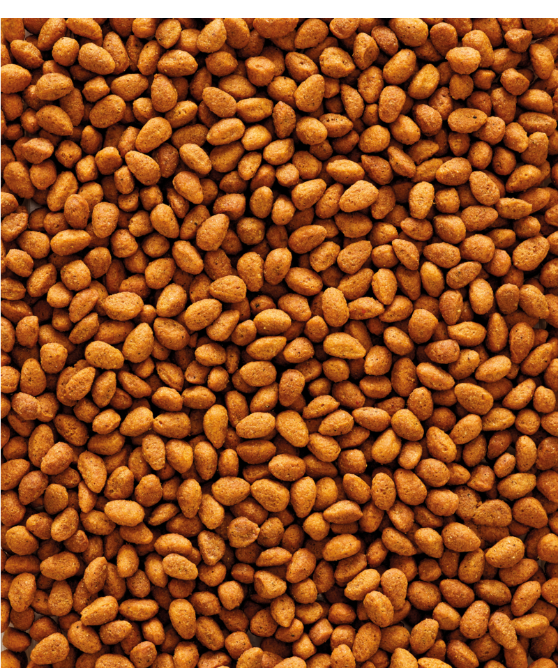 G14 NUTRIBIRD VERSELE-LAGA ORIGINAL - Sanny Passione Ornitologica