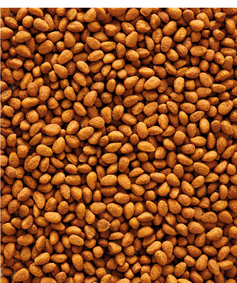 G14 NUTRIBIRD VERSELE-LAGA ORIGINAL - Sanny Passione Ornitologica