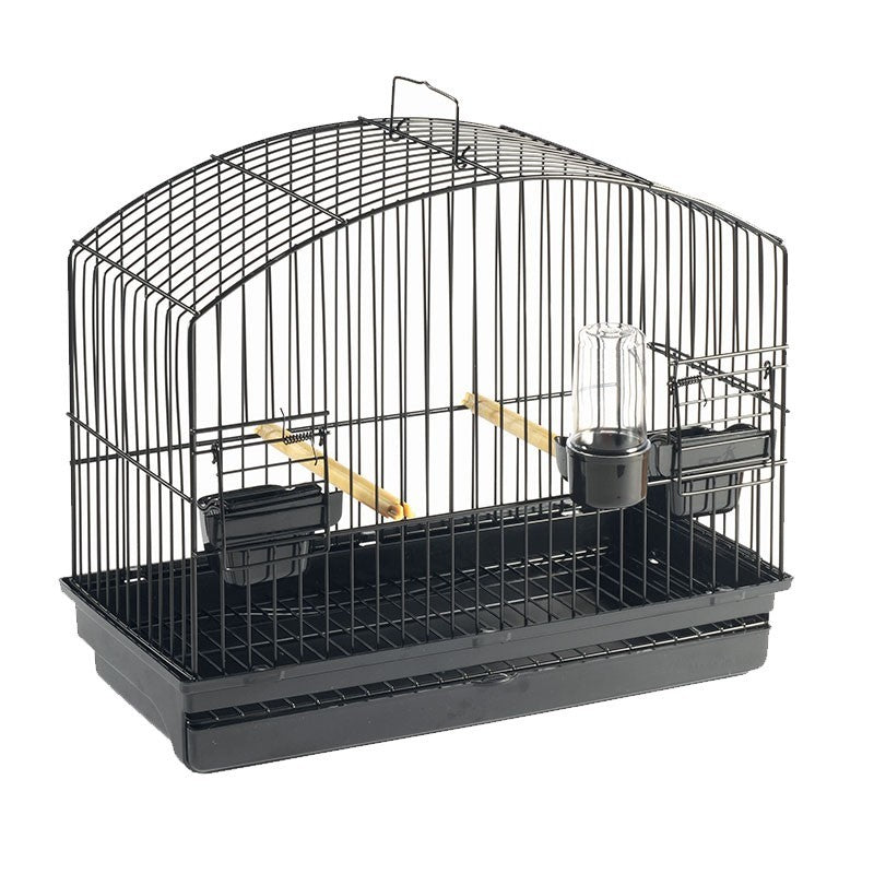 Gabbia Esposizione Border-Spagnoletti