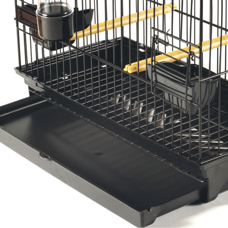 Gabbia Esposizione Border-Spagnoletti