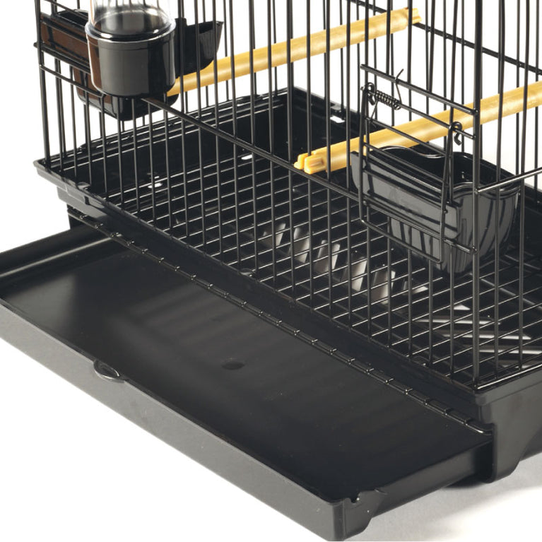 Gabbia Esposizione Border-Spagnoletti