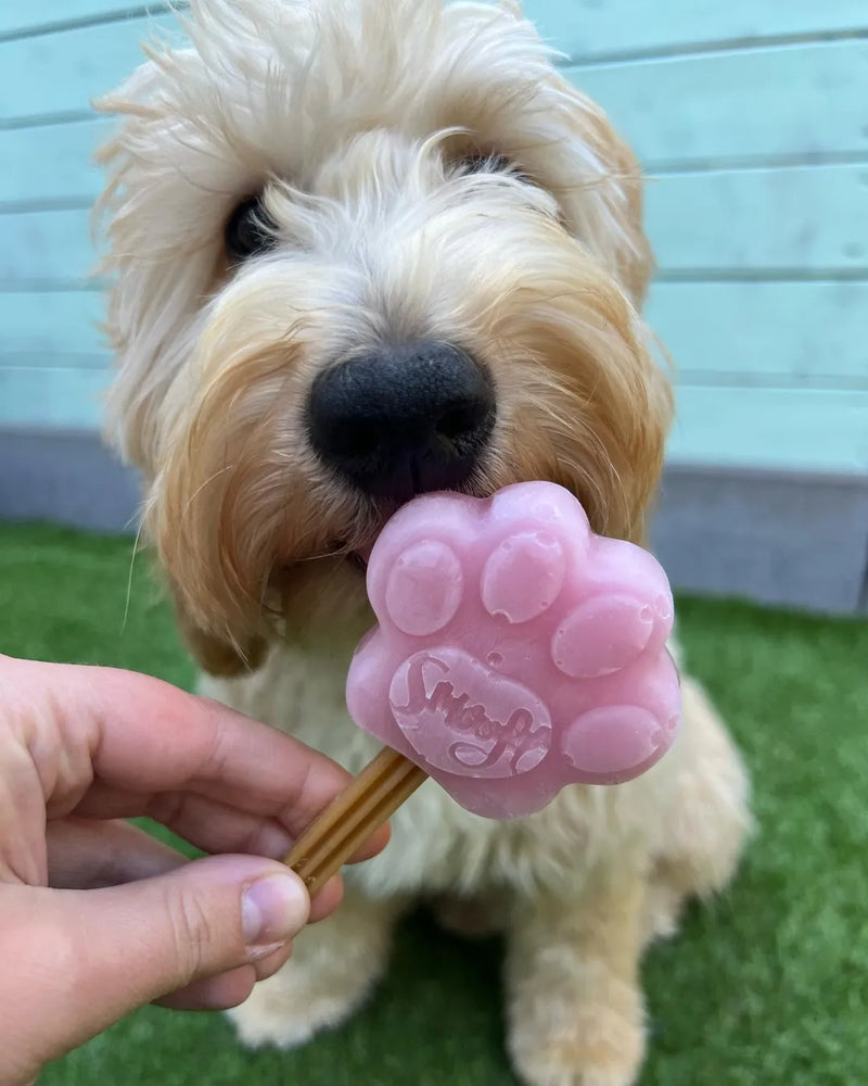 Gelato per Cane al gusto di fragola