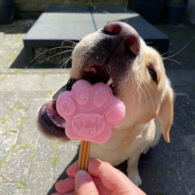 Gelato per cani – Anguria