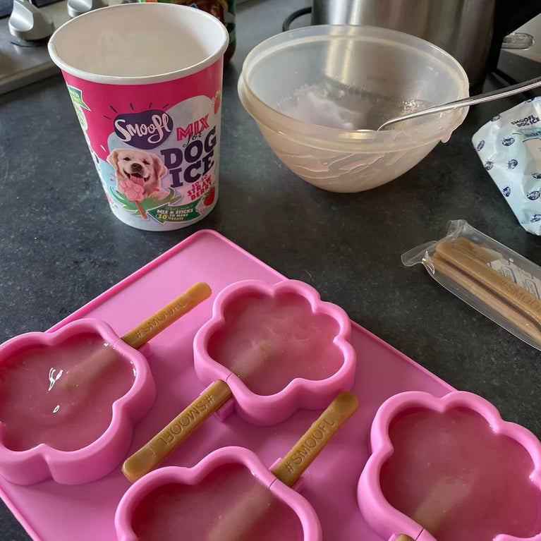 Gelato per cani – Anguria