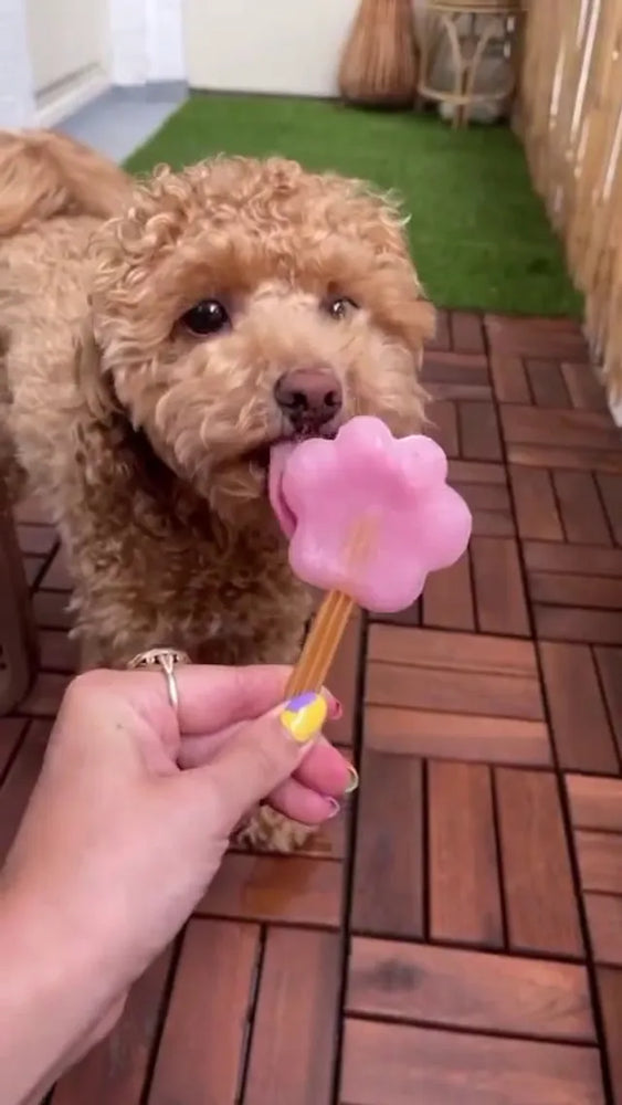 Gelato per cani – Anguria