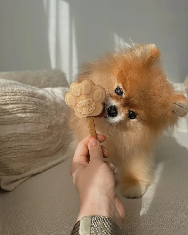 Gelato per cani – Anguria