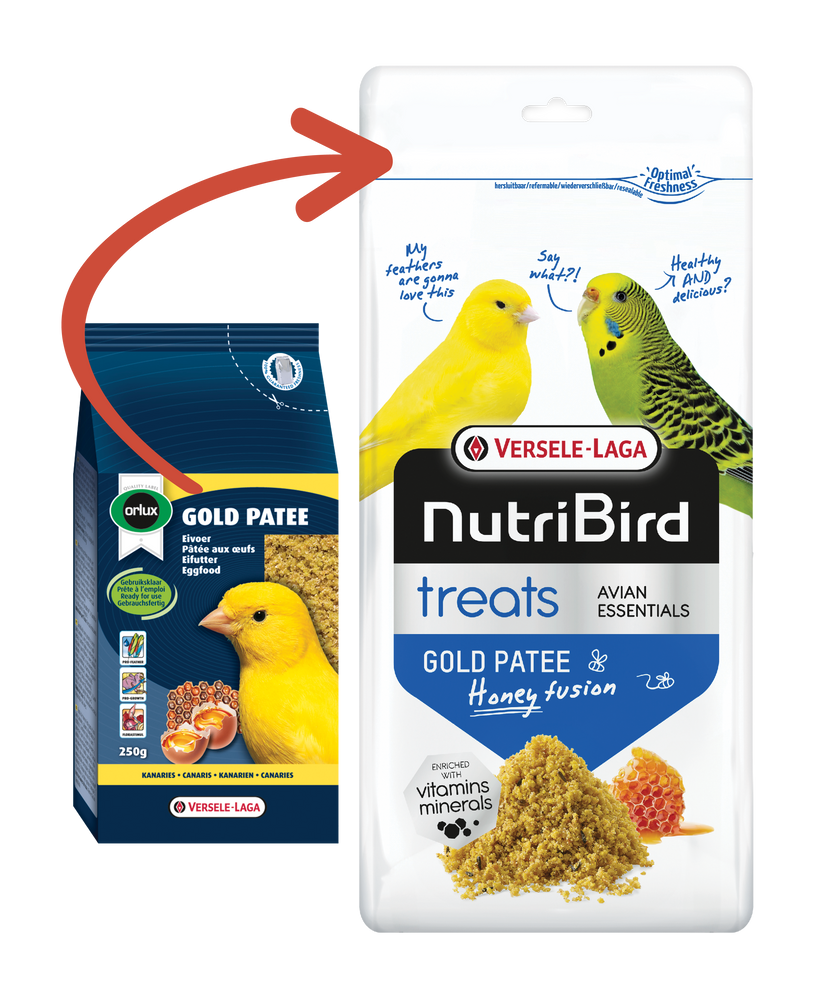 Gold Paté Canarini Giallo Morbido