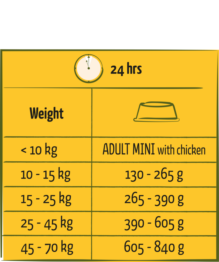 Adult with Chicken all breeds - Sanny Passione Ornitologica