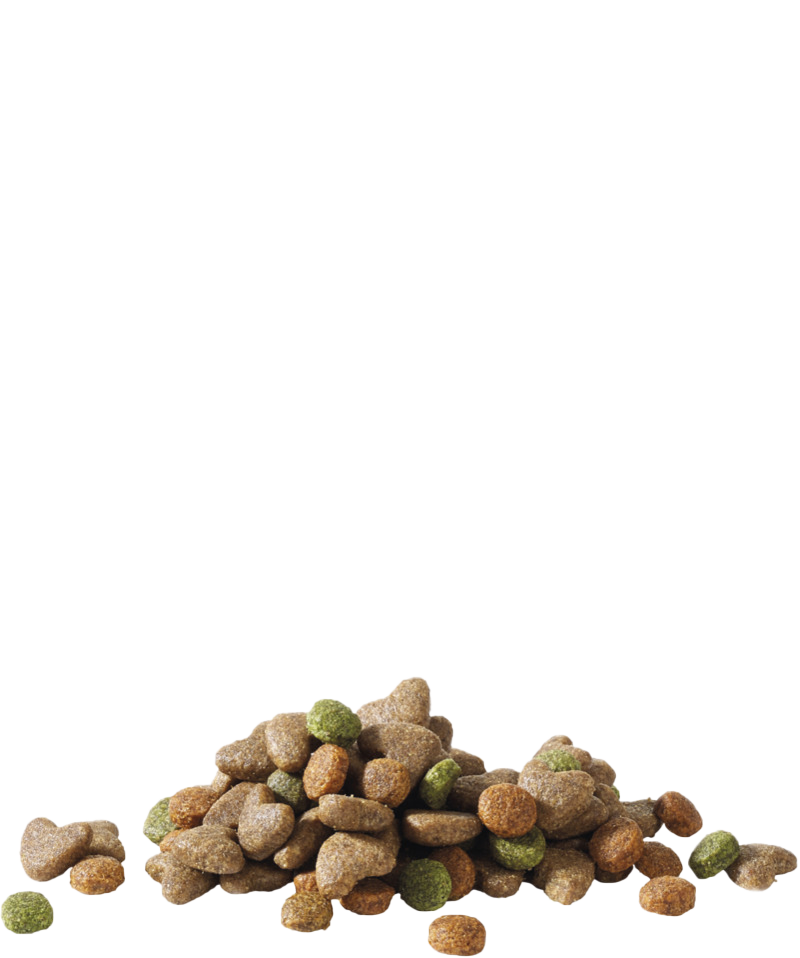 HAPPY LIFE JUNIOR - Sanny Passione Ornitologica