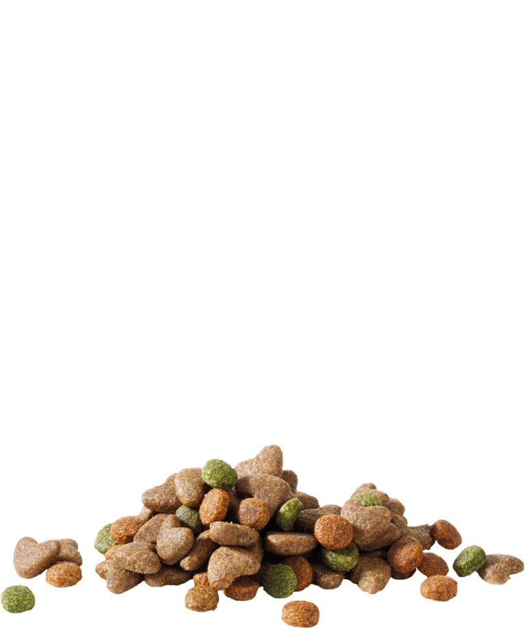 HAPPY LIFE JUNIOR - Sanny Passione Ornitologica