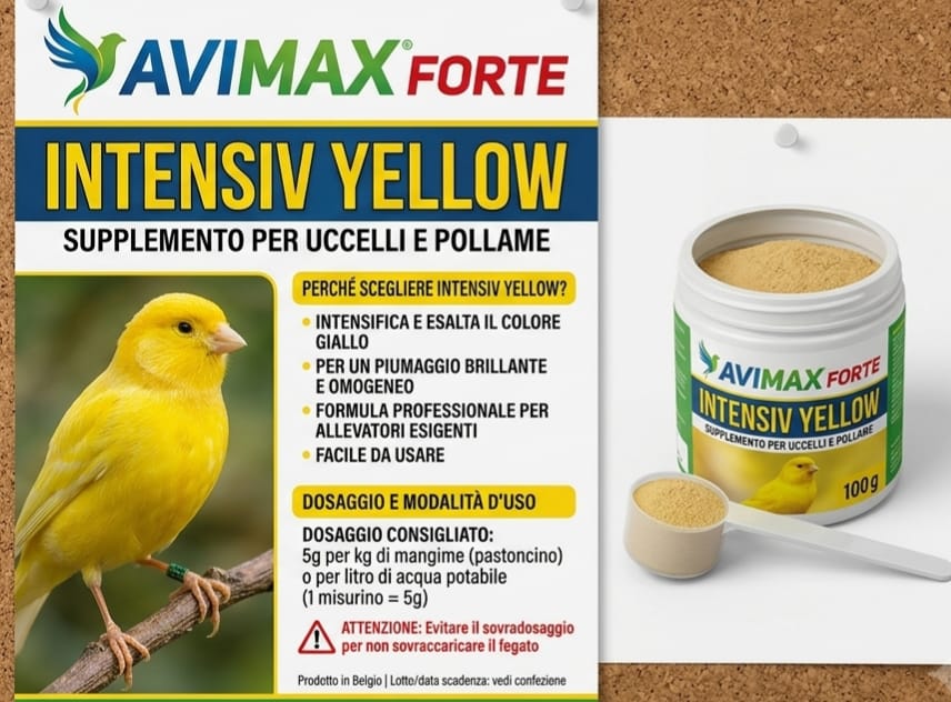 INTENSIVE YELLOW (GIALLO) (Intensief geel - Intensiv gelb) AVIMAX FORTE 100gr - Sanny Passione Ornitologica