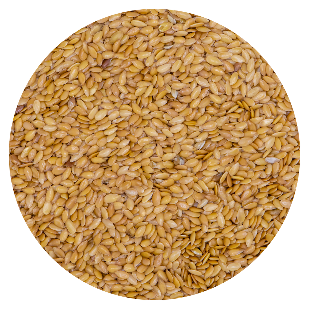 SEMI DI LINO ORO VAESEN