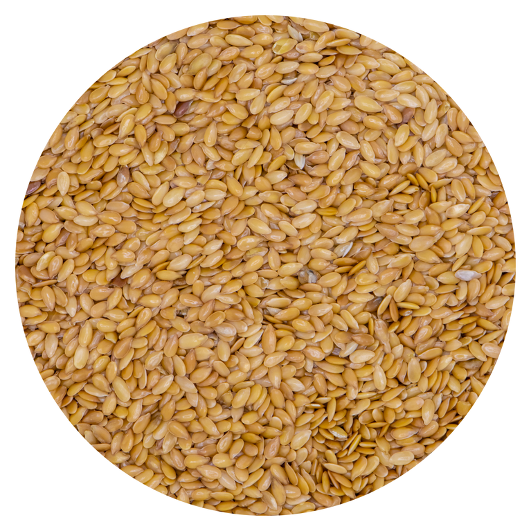 SEMI DI LINO ORO VAESEN