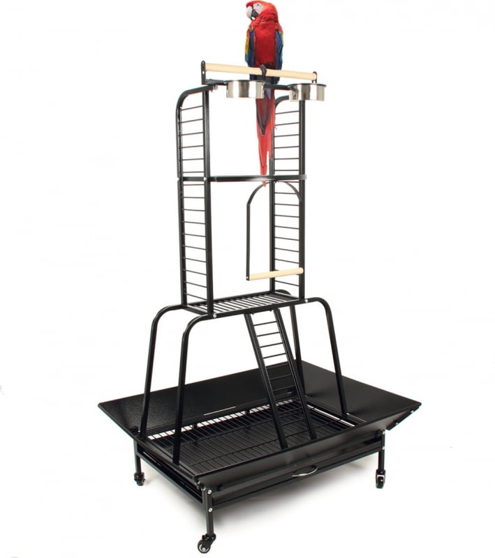TRESPOLO PER GRANDI PAPPAGALLI MATI