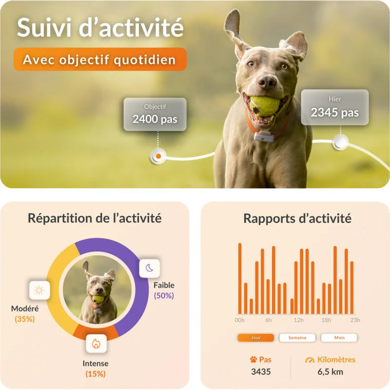 Localizzatore GPS per Cane