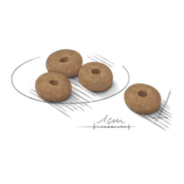 ROYAL CANIN LIGHT WEITH CARE MINI