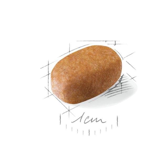 ROYAL CANIN MALTESE ADULT