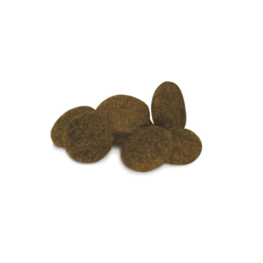 Mature Mini Serenity Unica Gemma 800gr