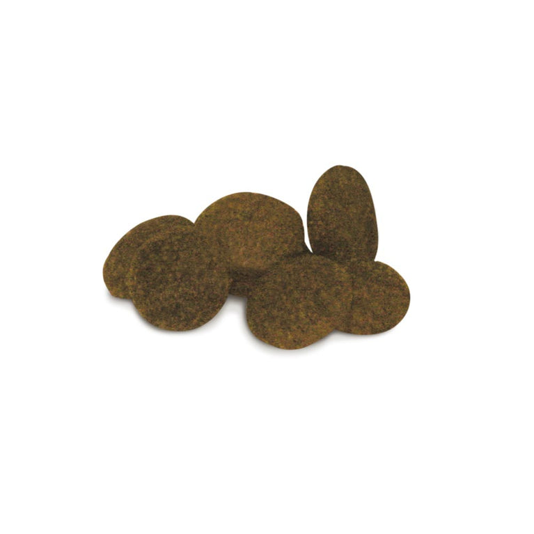 Mature Mini Serenity Unica Gemma 800gr